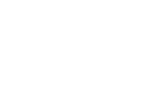 Logo partnera 4